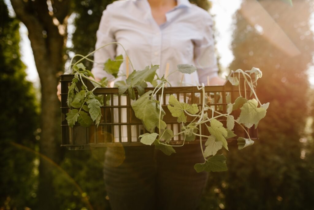 7 Tips importantes para un hogar ecológico