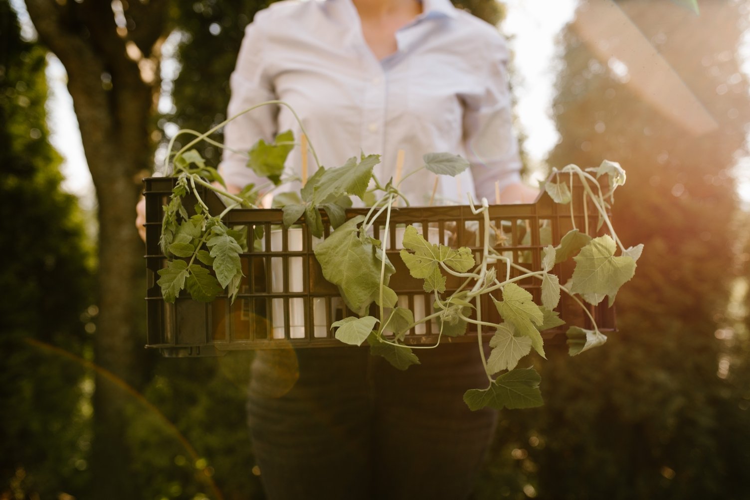 7 Tips importantes para un hogar ecológico